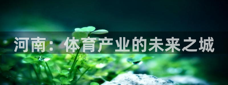 意昂5(KGAME)官方：河南：体育产业的未来之城