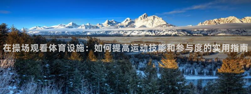 意昂5(KGAME)体育是干嘛的公司：在操场观看体育设施：如