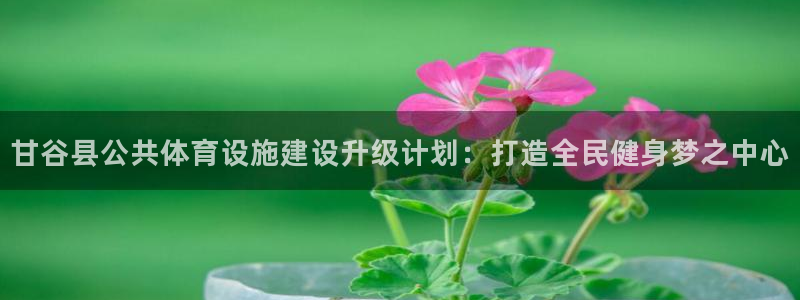 海南意昂5(KGAME)体育发展怎么样：甘谷县公共体
