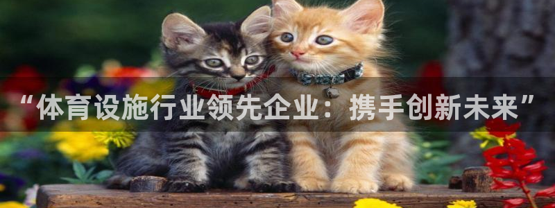 意昂5(KGAME)体育软件：“体育设施行业领先企业：携手创