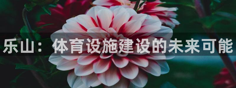 意昂5(KGAME)娱乐首页官网下载：乐山：体育设施建设的未