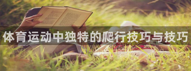 熊猫体育比赛直播：体育运动中独特的爬行技巧与技巧