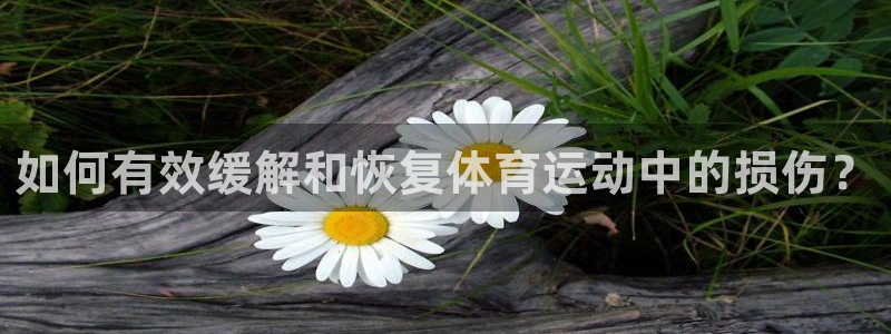 熊猫体育公园：如何有效缓解和恢复体育运动中的损伤？