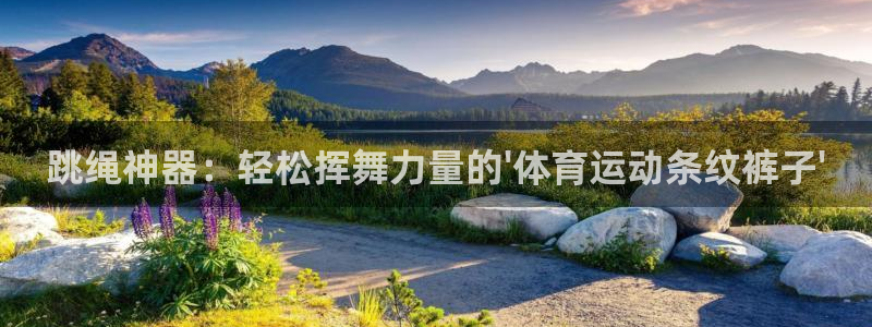 熊猫体育平台官网：跳绳神器：轻松挥舞力量的\'体育运动条纹裤子\'