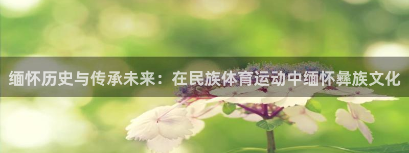 熊猫体育网站：缅怀历史与传承未来：在民族体育运动中缅怀彝族文化
