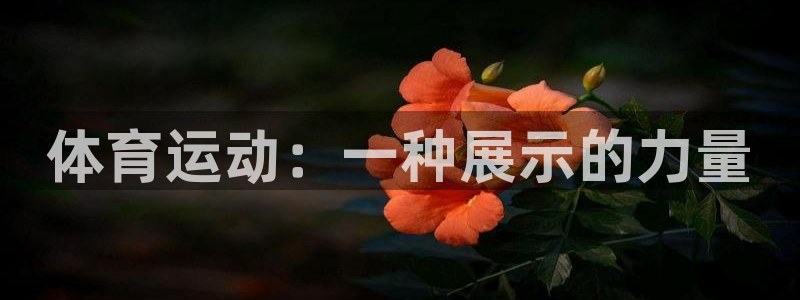 熊猫体育官网：体育运动：一种展示的力量