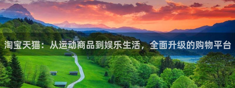 动感熊猫体育公园：淘宝天猫：从运动商品到娱乐生活，全面升级的购物平台