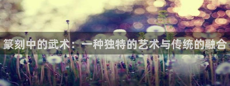熊猫体育手机版：篆刻中的武术：一种独特的艺术与传统的融合
