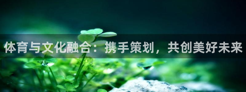 熊猫体育网站：体育与文化融合：携手策划，共创美好未来