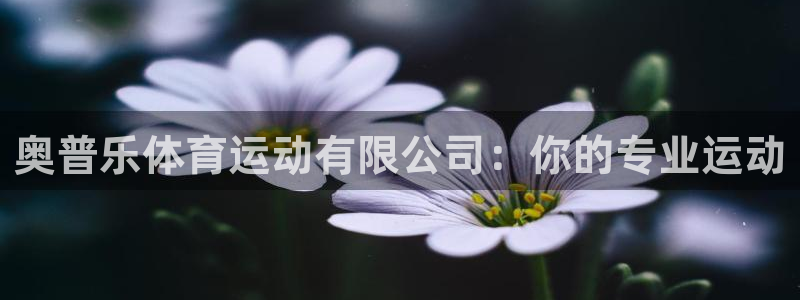 熊猫体育app官方入口：奥普乐体育运动有限公司：你的专业运动