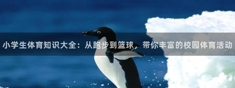 熊猫体育官网：小学生体育知识大全：从跑步到篮球，带你丰富的校园体育活动
