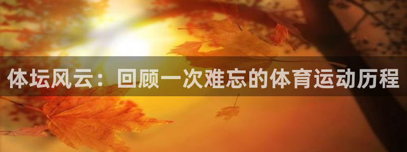熊猫体育平台：体坛风云：回顾一次难忘的体育运动历程
