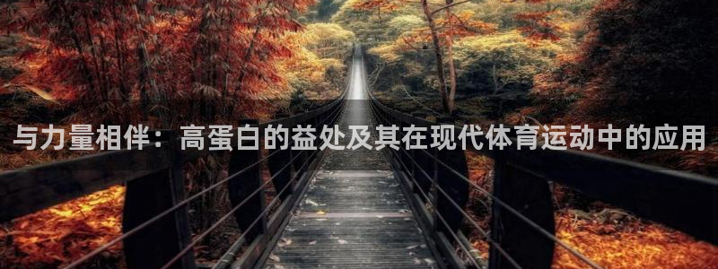 熊猫体育怎么样：与力量相伴：高蛋白的益处及其在现代体育运动中的应用