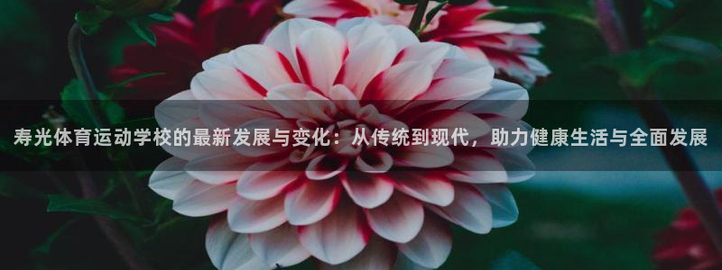 熊猫体育app官方下载最新版：寿光体育运动学校的最新发展与变化：从传统到现代，助力健康生活与全面发展