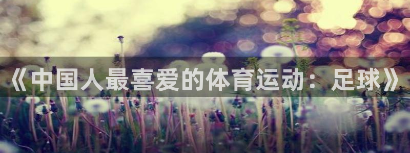 熊猫体育手机版：《中国人最喜爱的体育运动：足球》