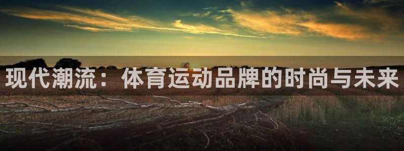 熊猫体育官网：现代潮流：体育运动品牌的时尚与未来