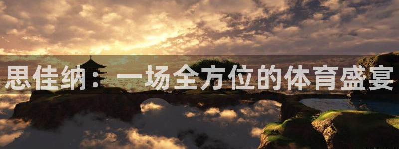 熊猫体育免费下载：思佳纳：一场全方位的体育盛宴