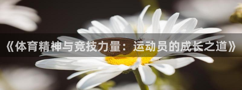 熊猫体育app官网入口：《体育精神与竞技力量：运动员的成长之道》