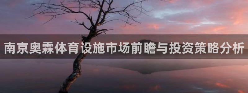 意昂5(KGAME)体育官方客服电话：南京奥霖体育设施市场前