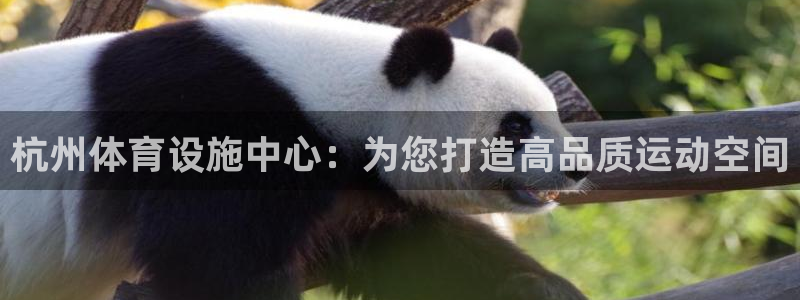 意昂5(KGAME)娱乐40996：杭州体育设施中心：为您打