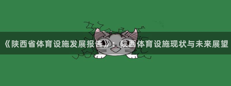 意昂5(KGAME)代理：《陕西省体育设施发展报告》：陕西体